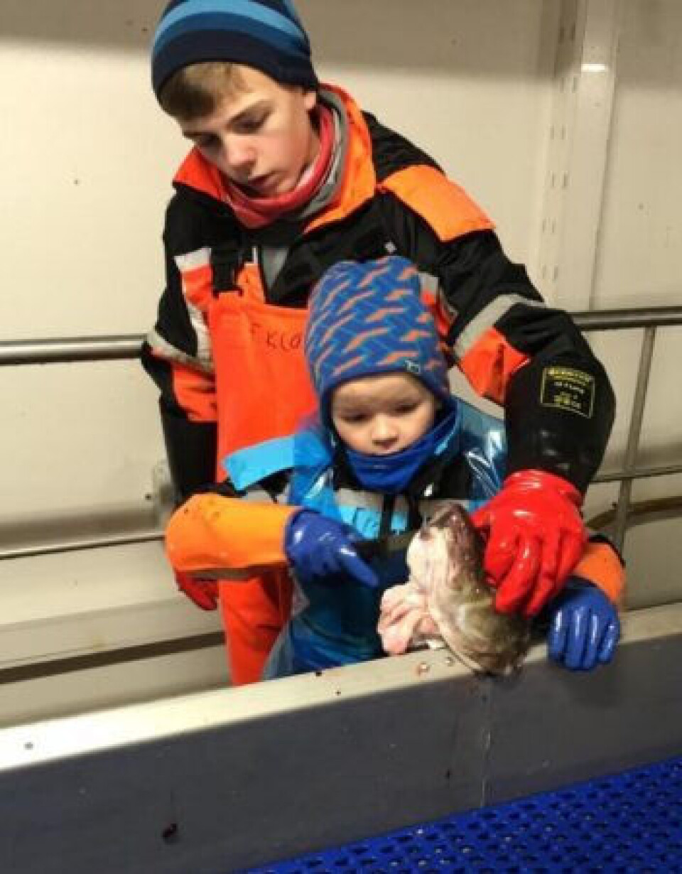 Cod tongue cutting is still a task left to children in several coastal communities in Lofoten and Vesterålen. Here, 14-year-old Fredrik Klo teaches the art to his cousin William Klo Skaret, 8 years old. This photo was taken in 2019.