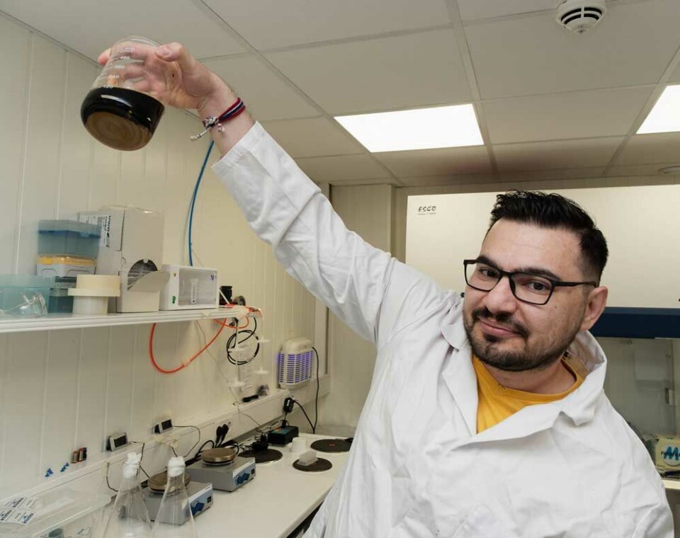 Siavash S. Fakhr looks after the quality of Kveik Yeastery’s laboratory.