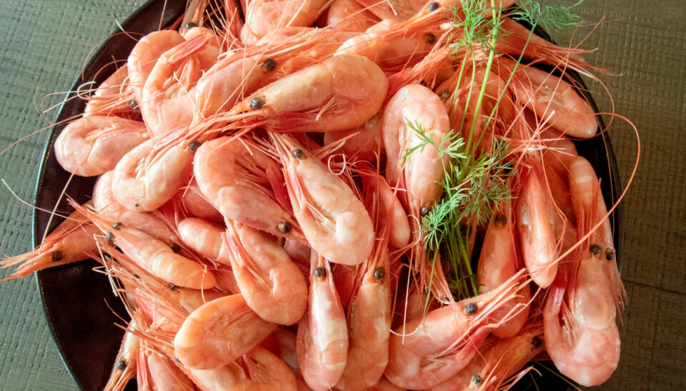 The shrimp quota was recently sharply reduced, which has not been popular among fishermen.