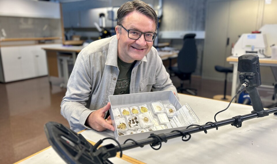 Erlend Bore shows off the 'gold find of the century' in Norway which he found with his brand new metal detector.