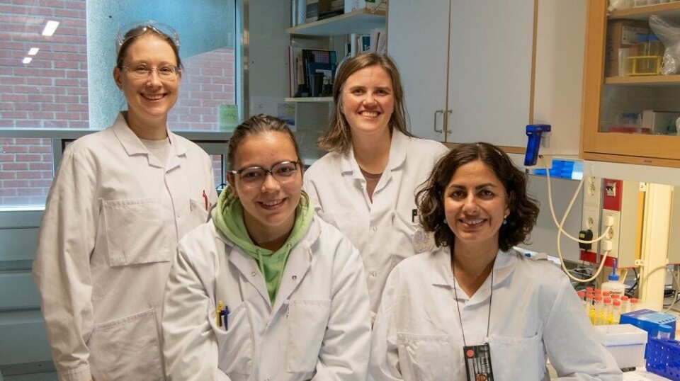 From left: Daria Zaytseva-Zotova, Léa Lecomte, Hanna Tiainen, and Preet Bano Singh.