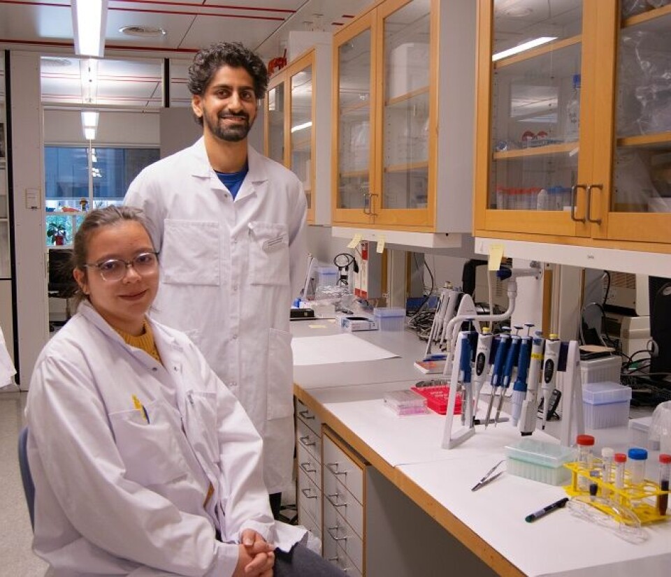 Léa Lecomte og Simon Vivan Singh.