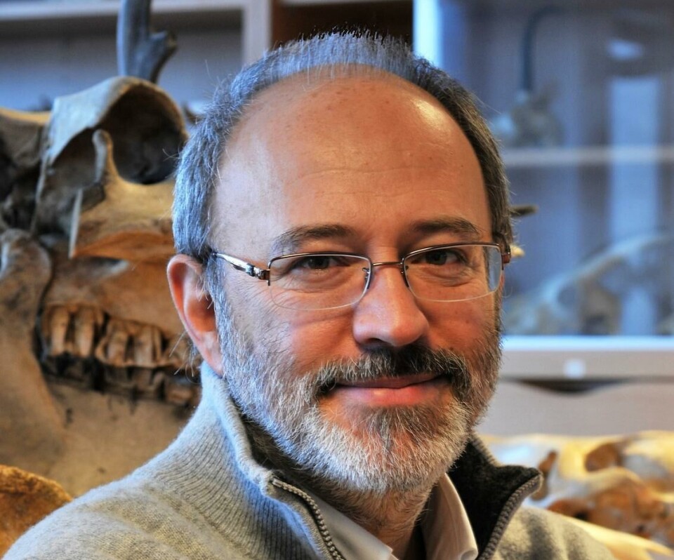 SapienCE PI Francesco d’Errico says the new study is instrumental to understand the persistent and constantly evolving use of ochre 40,000 years ago in Ethiopia.