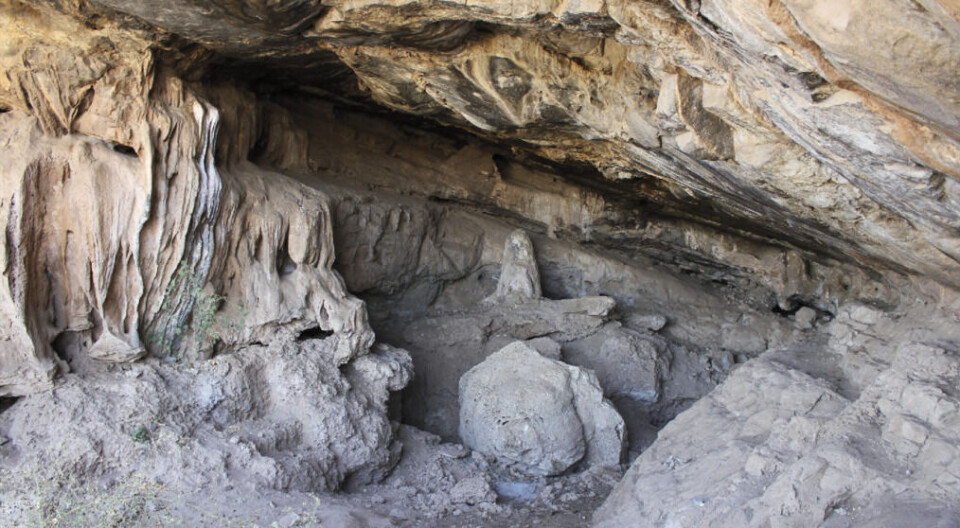 This is the entrance to the Porc-Epic Cave in Ethiopia. This is the entrance to the Porc-Epic Cave in Ethiopia.