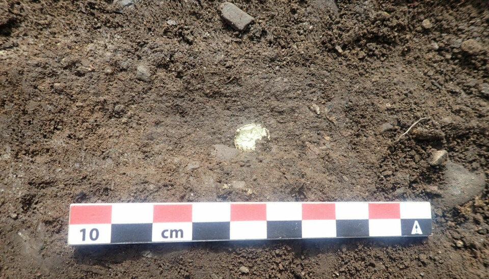 Tiny, as thin as paper, made of gold, and stamped with motifs of men and women in stylish costumes. The gold foil figures from the Norwegian Merovingian era (550-800) are still a mystery, but new discoveries from Hov outside Lillehammer may bring us a little closer to the answer to this puzzle.