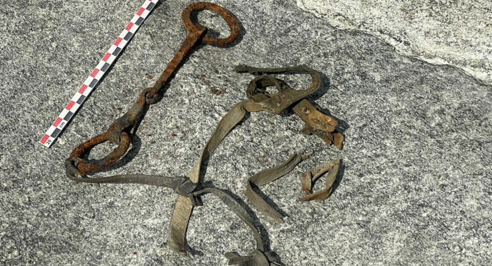 Melting ice near Norway's highest mountain reveals horse bridle that could stem from the Viking Age
