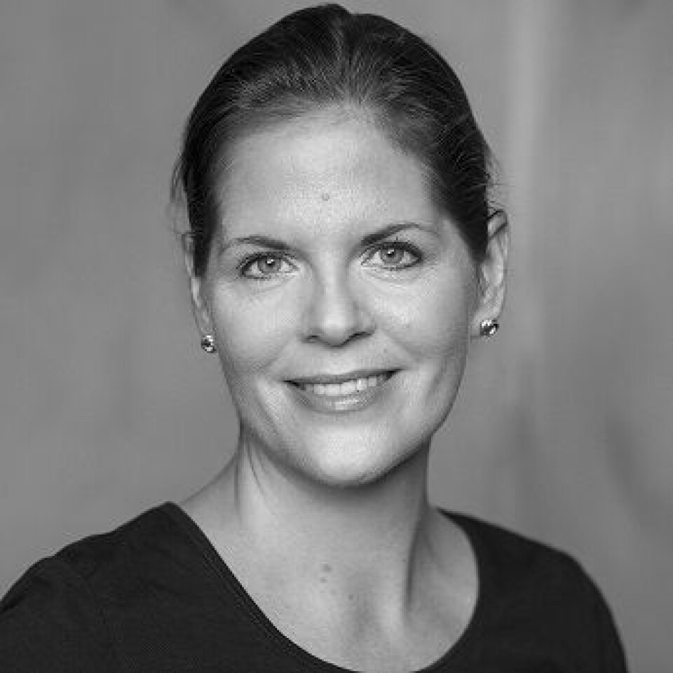 Birgitte Furberg Moe has highlighted the theme of guilt in On Overgrown Paths.