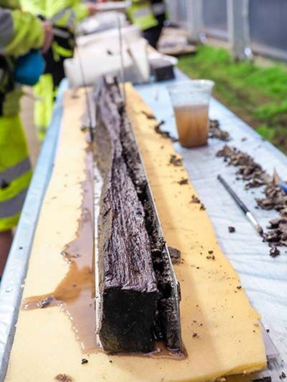 It was cause for celebration when the archaeologists were able to extract parts of the ship's keel.