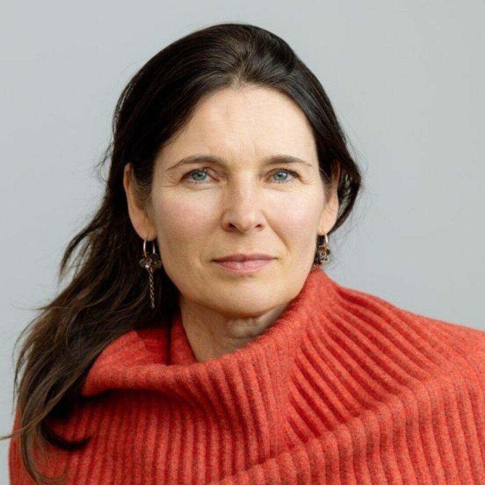 'We selected three Eastern European countries where we know that the general trust in the welfare system and the state is under some pressure,' Marit Skivenes says.