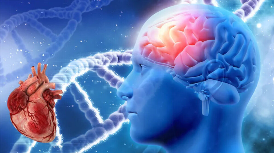 Researchers have found that there is a significant genetic overlap between schizophrenia and several cardiovascular disease risk factors, particularly obesity and smoking.