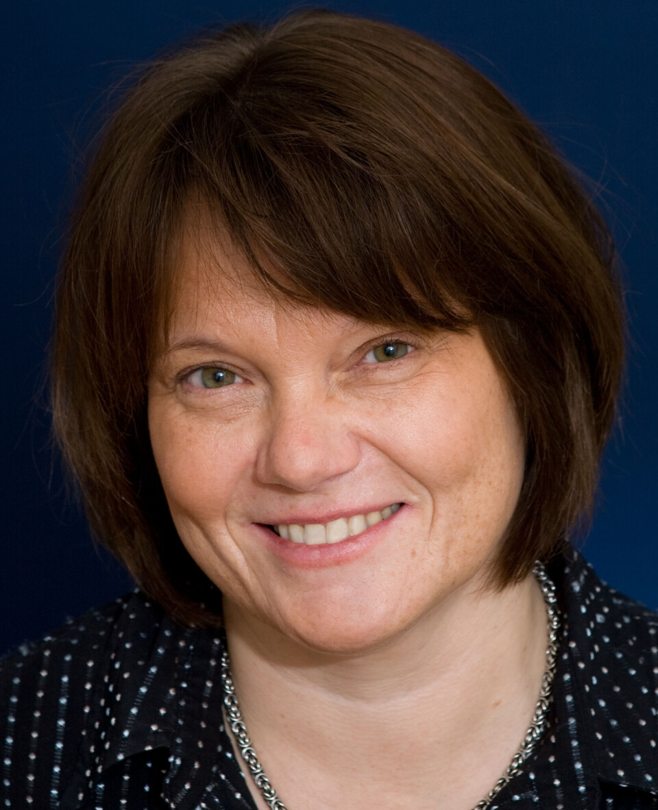 Economist Ellen Katrine Nyhus recommends common sense when thinking about finances in the time ahead. – Den høyere renta har redusert nordmenns kjøpekraft, sier professor Ellen Katrine Nyhus.