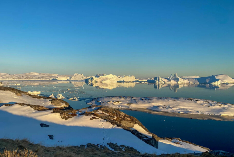 Photo from an expedition to Greenland.