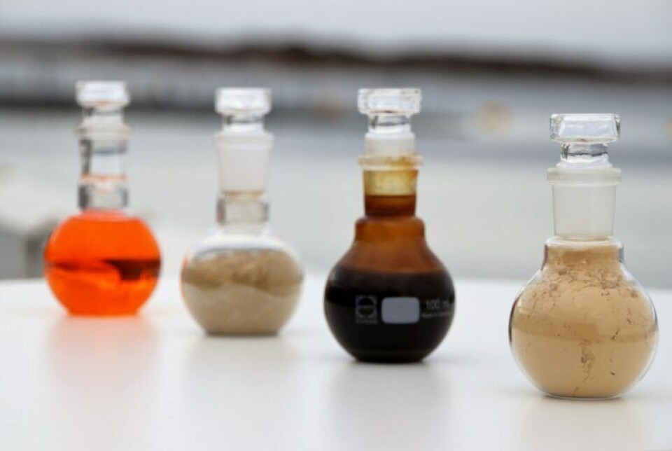 Salmon oil, salmon meal, concentrated salmon hydrolysate, and spray-dried salmon hydrolysate. Spray-dried hydrolysate is used in this research. It doesn’t look very appetizing, but the salmon enjoy it.