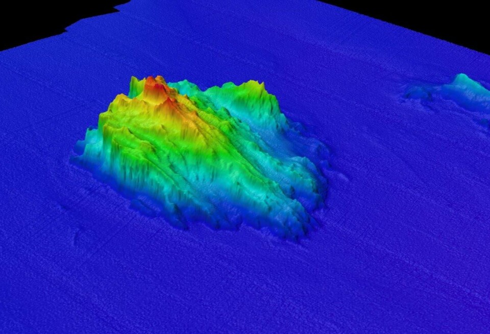 A 700-metre-high seamount that was identified using depth mapping.