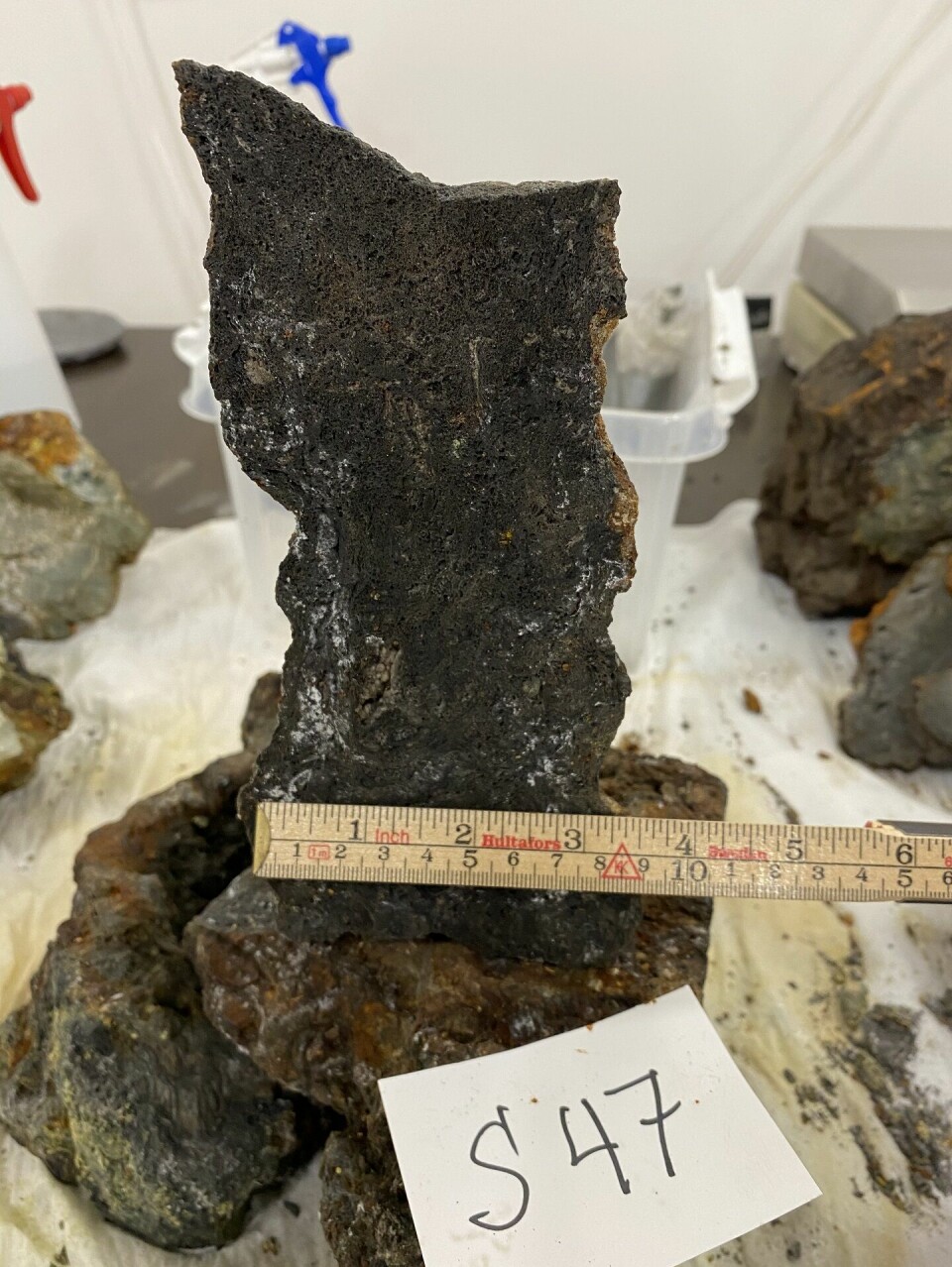 An example of an extinct and collapsed chimney from the Mohn's Treasure mound.