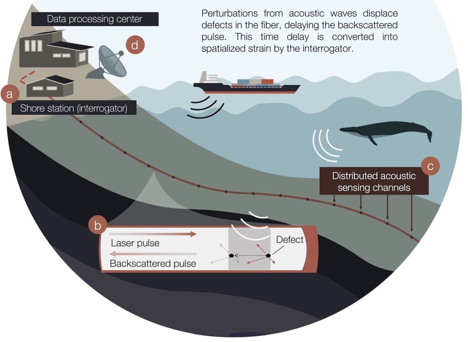 This schematic shows how the Distributed Acoustic System works.