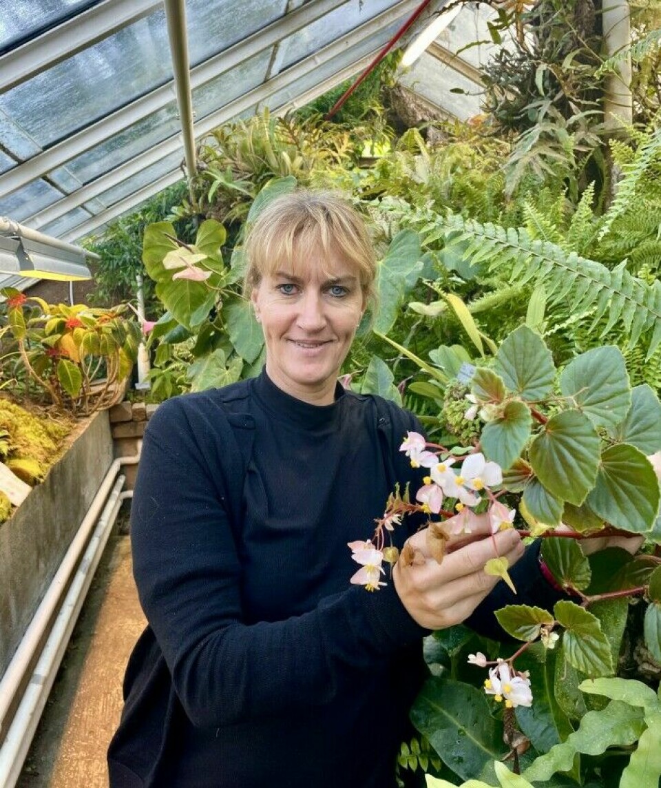 Charlotte Sletten Bjorå is a botanist and researcher, and works at the Natural History Museum.