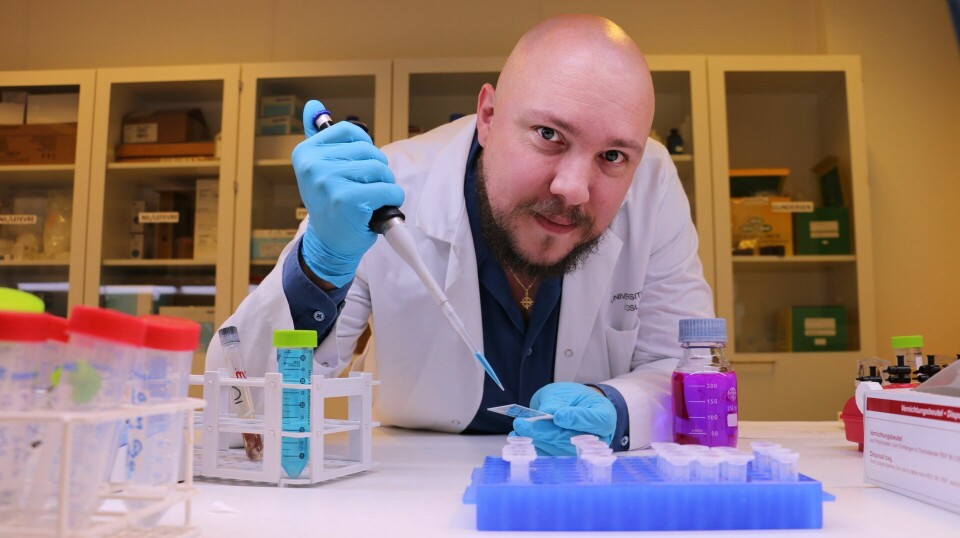 Before looking in the microscope, the samples need thorough preparation. This photo shows Resseguier in the lab.
