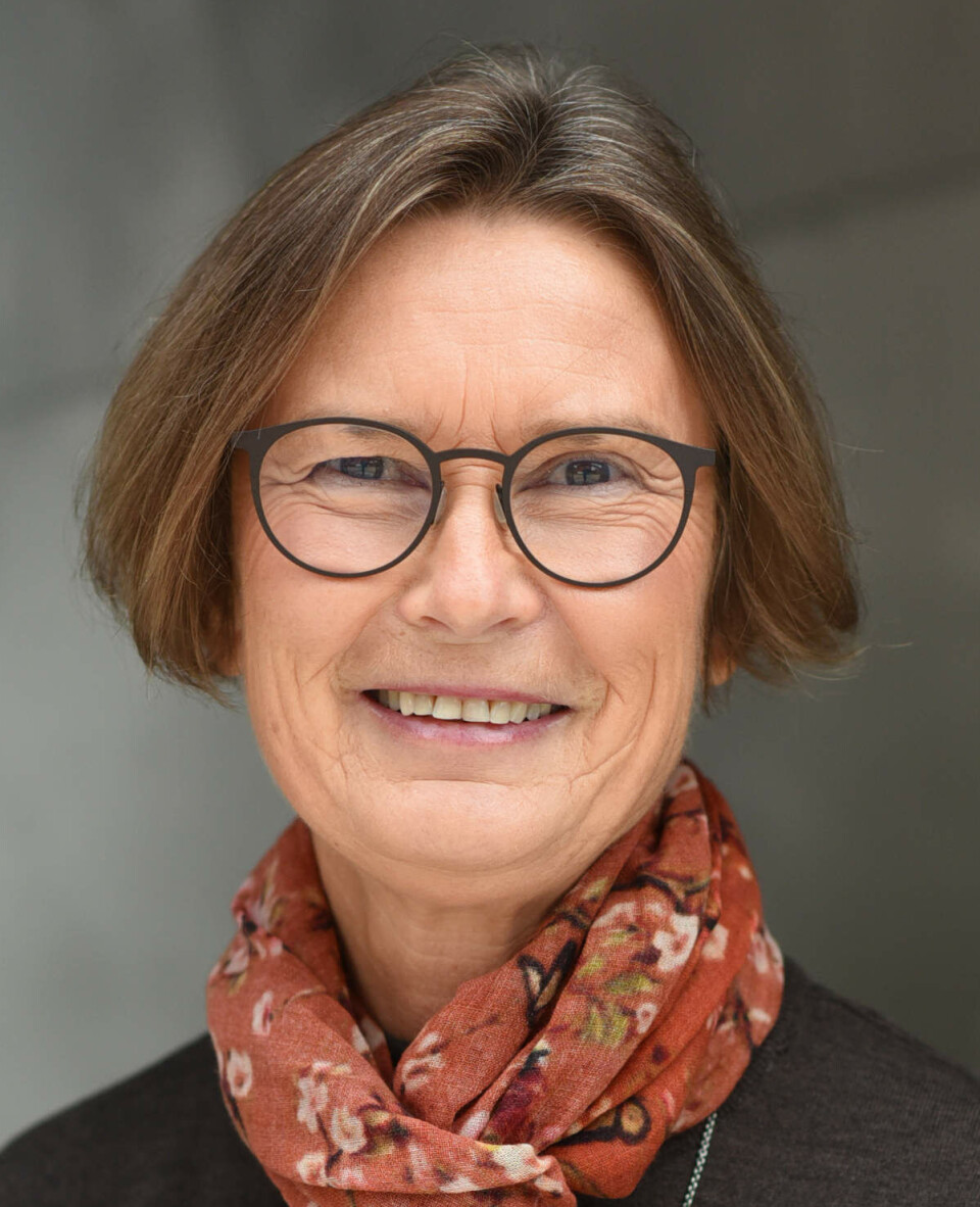 Helje Kringlebotn Sødal, professor of the history of ideas and Christianity at the University of Agder. Helje Kringlebotn Sødal gir ut ny bok om hva kristendommen har betydd for utviklingen av norsk kultur- og samfunnsliv. I boken «Kristne strateger» skriver hun og andre forskere om 33 aktører som har påvirket Norge med det de har tenkt og gjort.