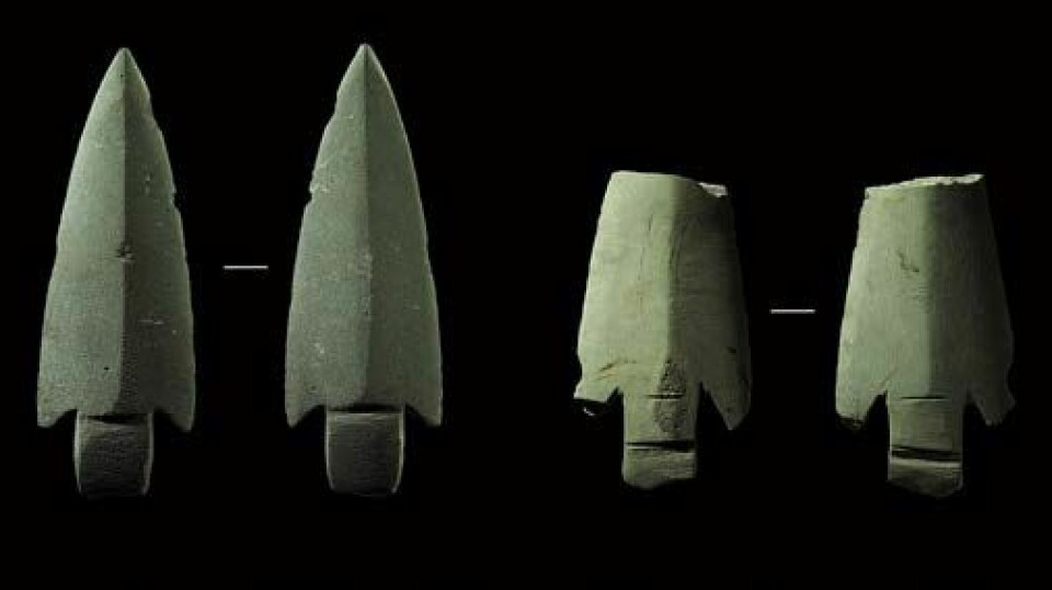 Several flint spearheads found at the settlement on Nerlandsøy.