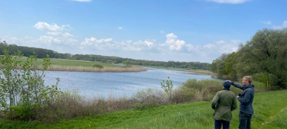 Birds know no borders – nor do scientists