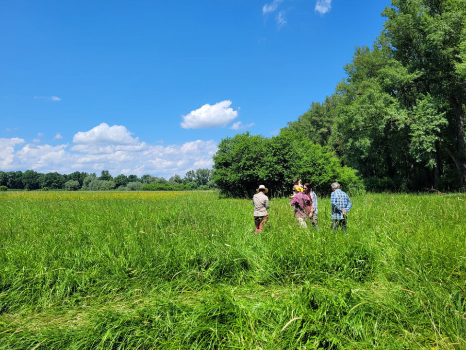Field work in all kinds of weather, sharing knowledge, collecting data, and developing methods.