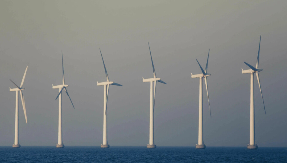 Offshore wind farms can reduce the availability of downstream wind resources of other farms by as much as 20 per cent within 50 kilometres, due to so-called wake effects. // Turbulence from turbines will reduce production for the others that are placed behind. Offshore wind farms can reduce the availability of downstream wind resources of other farms by as much as 20 per cent within 50 kilometres, due to so-called wake effects.