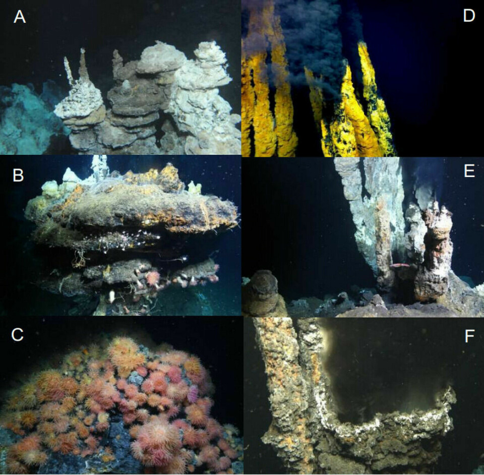 Images from active hydrothermal underwater vents. Mining would not take place in these types of fields, but in areas that are no longer active.