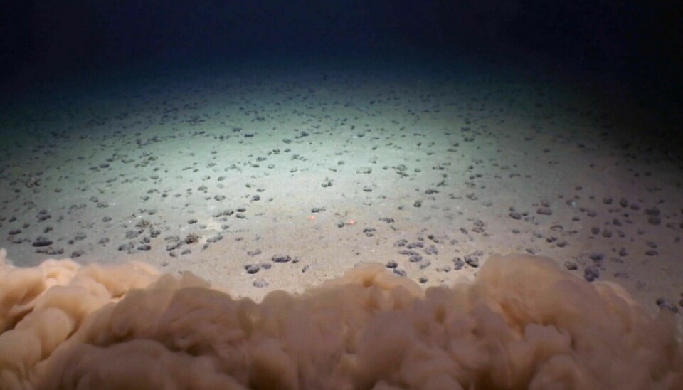 A plume of sediment created in connection with the collection of polymetallic nodules, a type of mineral deposit in the Pacific Ocean. Nodule mining is not applicable for Norway.