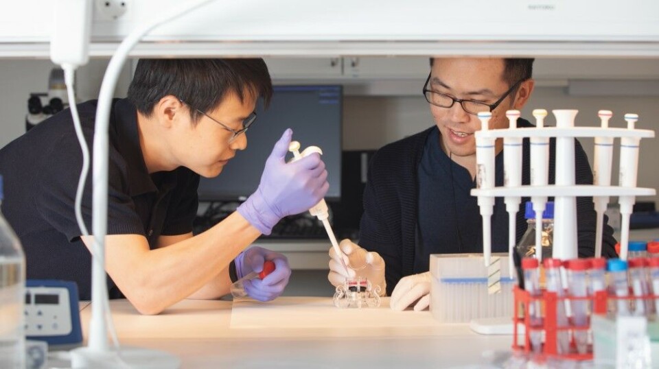 Biologists, physicists, and music technology researchers have worked together to try something new: influencing cells through music.