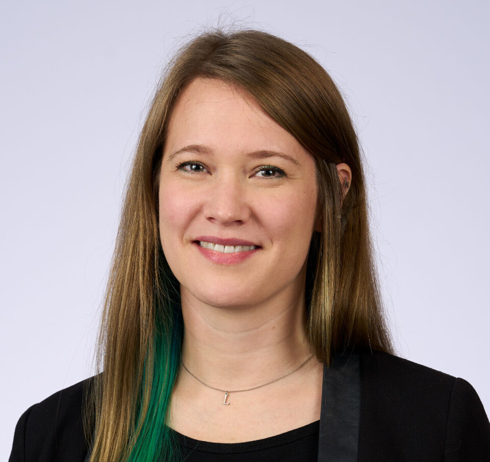 Lisbeth Løvbak Berg has examined the strategies of various governments, industry organisations, and clothing retailers.