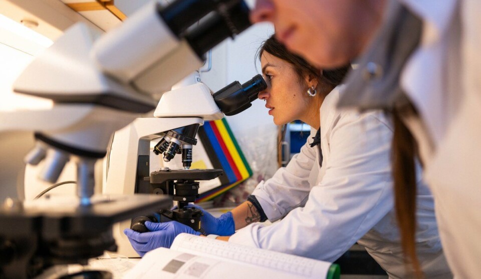 Lucilla Giulietti is trying to solve the mystery of the Kudoa parasite.
