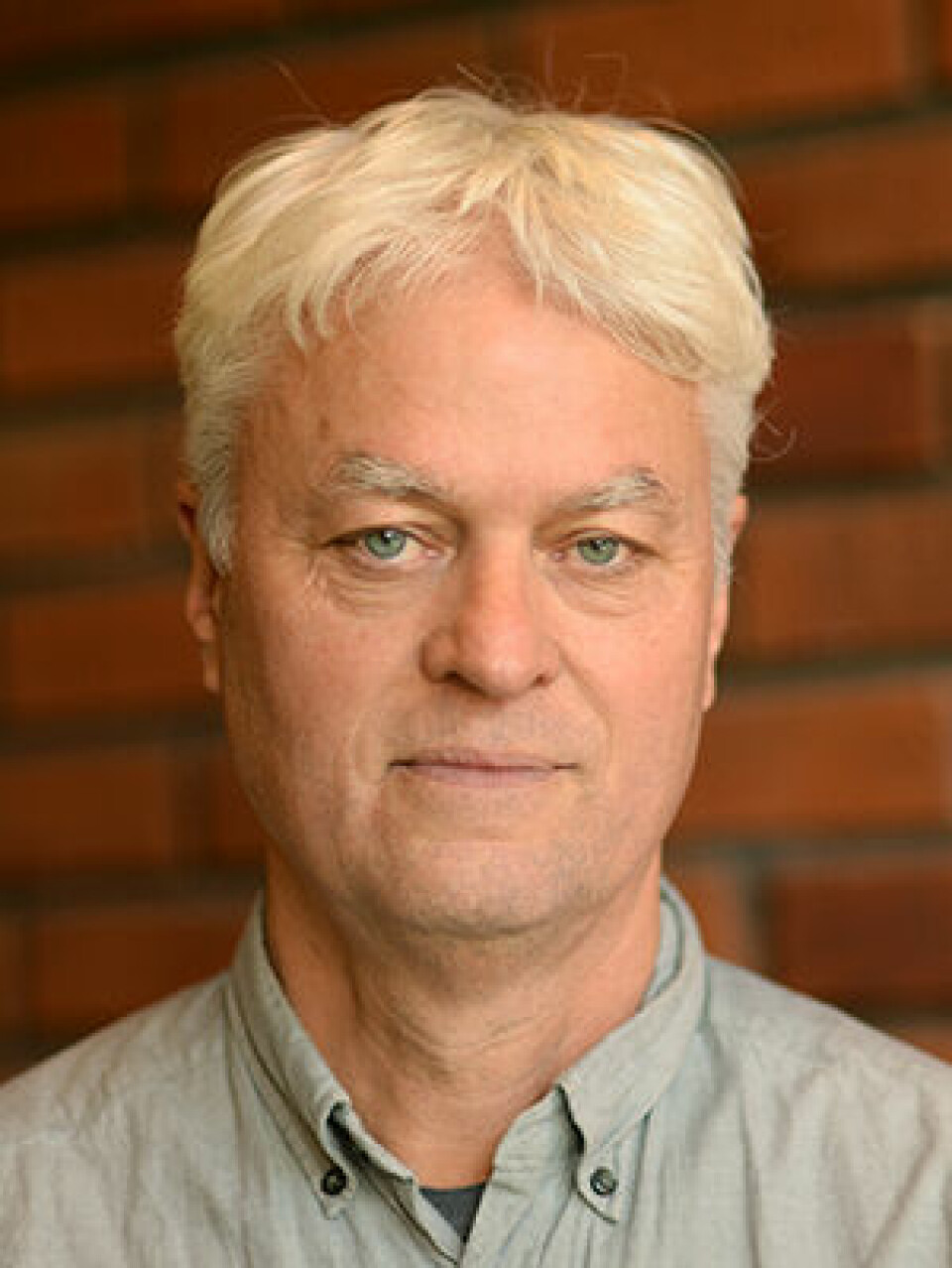 Dag Tuastad is a researcher in Middle Eastern Studies at the University of Oslo.