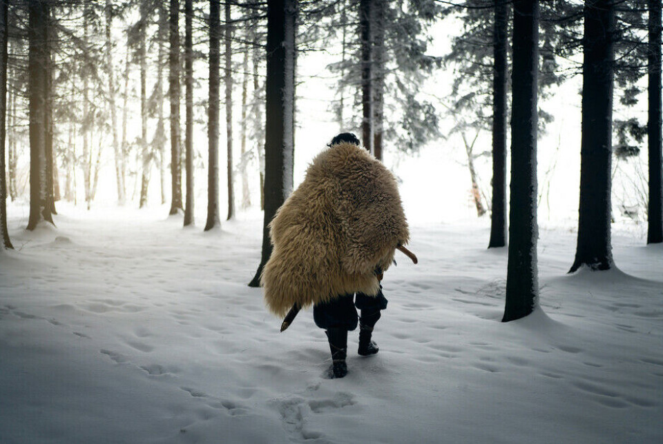 A typical Yule celebration in Viking culture consisted of brutal and violent rituals. Instead of exchanging gifts, the Vikings sacrificed blood and animals to the gods.