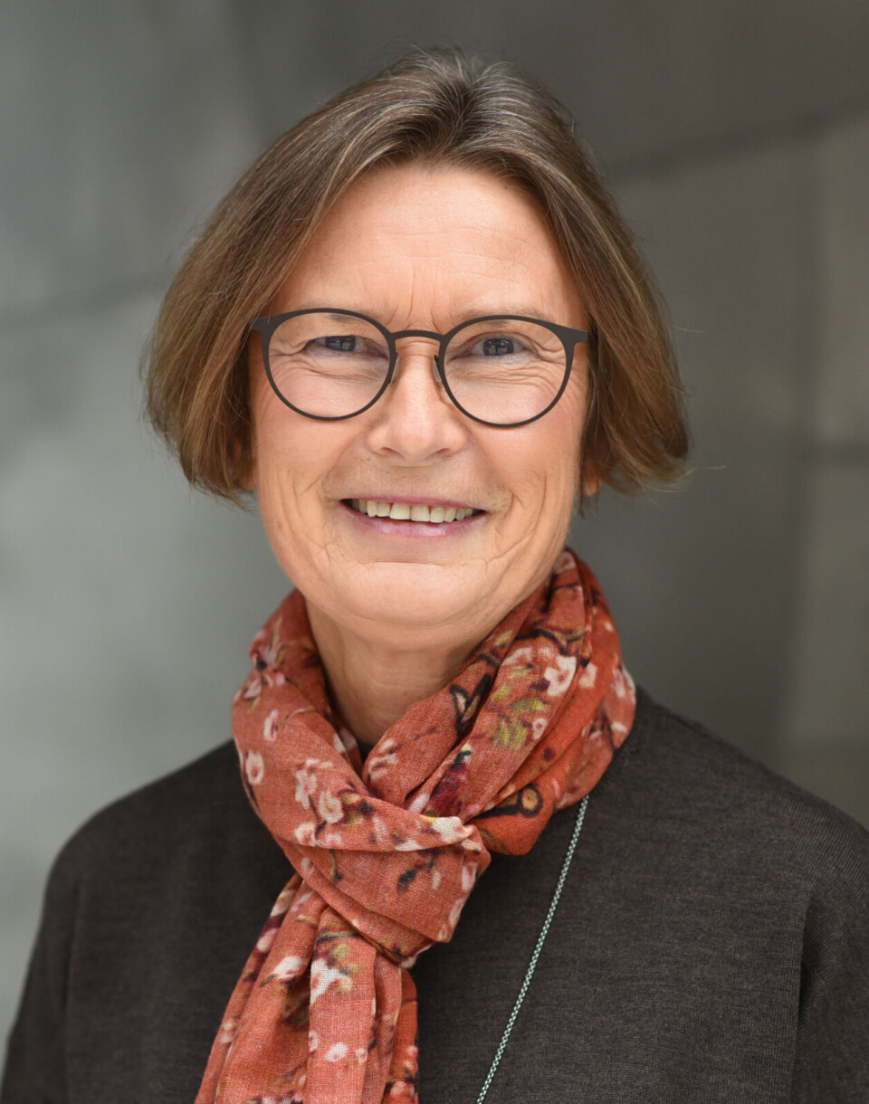 Helje Kringlebotn Sødal is a professor in the Department of Religion, Philosophy, and History at UiA.
