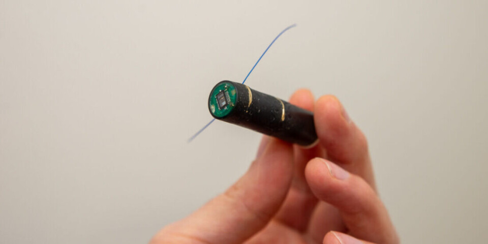 Eirik Svendsen believes he has developed one of the most advanced sensor implants for use in fish. 'It has worked much better than we might have expected,' he says.