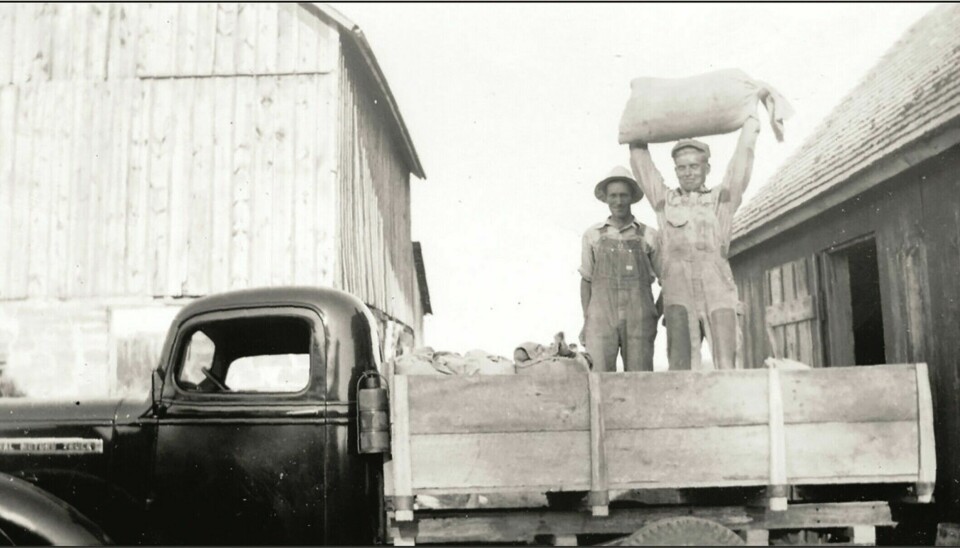 The Norwegian-Americans faced hard work. Lloyd Bjorgo lifts a sack of grain in 1940 in Iowa.