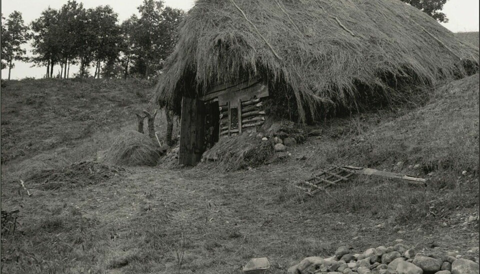Dugout in Minnesota. Some people built one like this as their first dwelling. (Photo: Detroit Publishing Company Collection