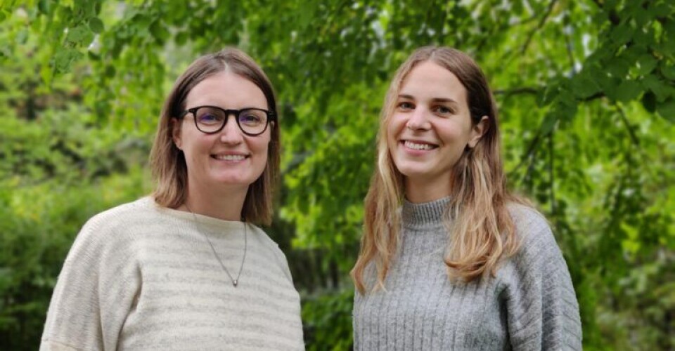 Gudrun Maria Waaler Bjørnelv and Christina Hansen Edwards have looked at the relationship between BMI and costs at the specialist health service.