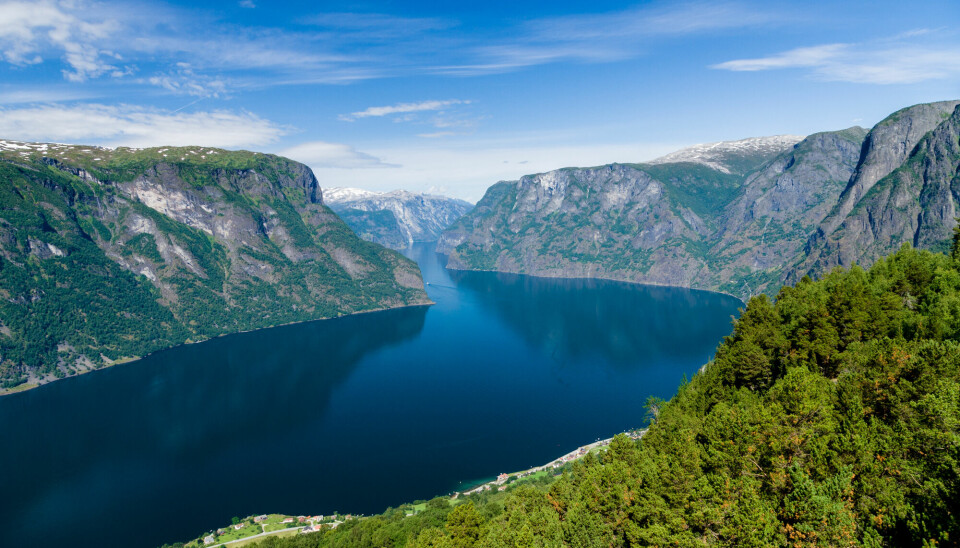 Sognefjord in Norway is one place where warmer water is causing species to disappear
