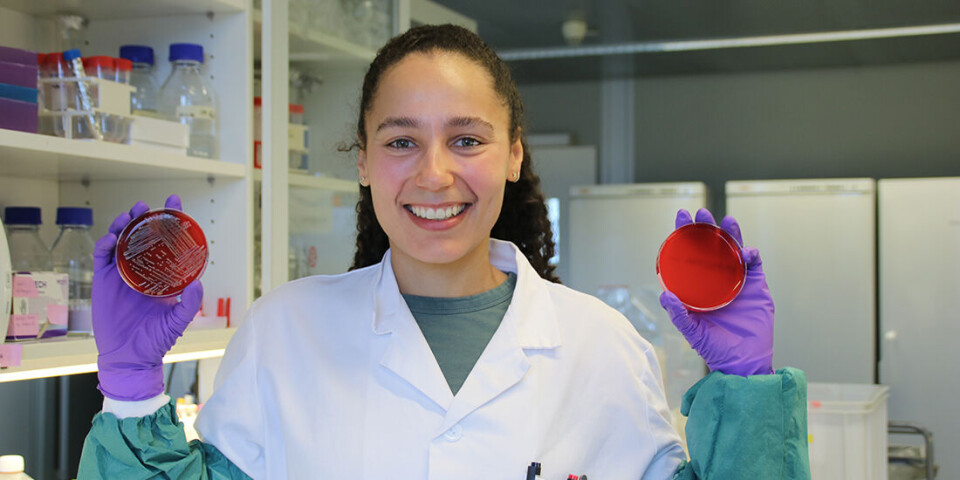 The fight against resistant bacteria: Compounds developed at NTNU may end up as a completely new antibiotic – which can be effective against a wide group of bacteria.