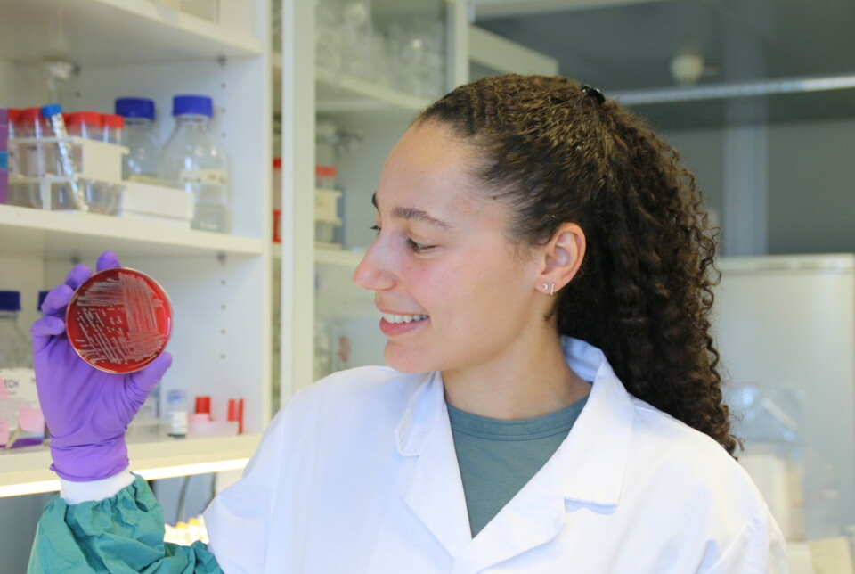 Amanda Holstad Singleton is the lead author in a study showing how the combination of two new substances effectively kills MRSA. The substances are well tolerated by human cells, making them a promising candidate for a new antibiotic.