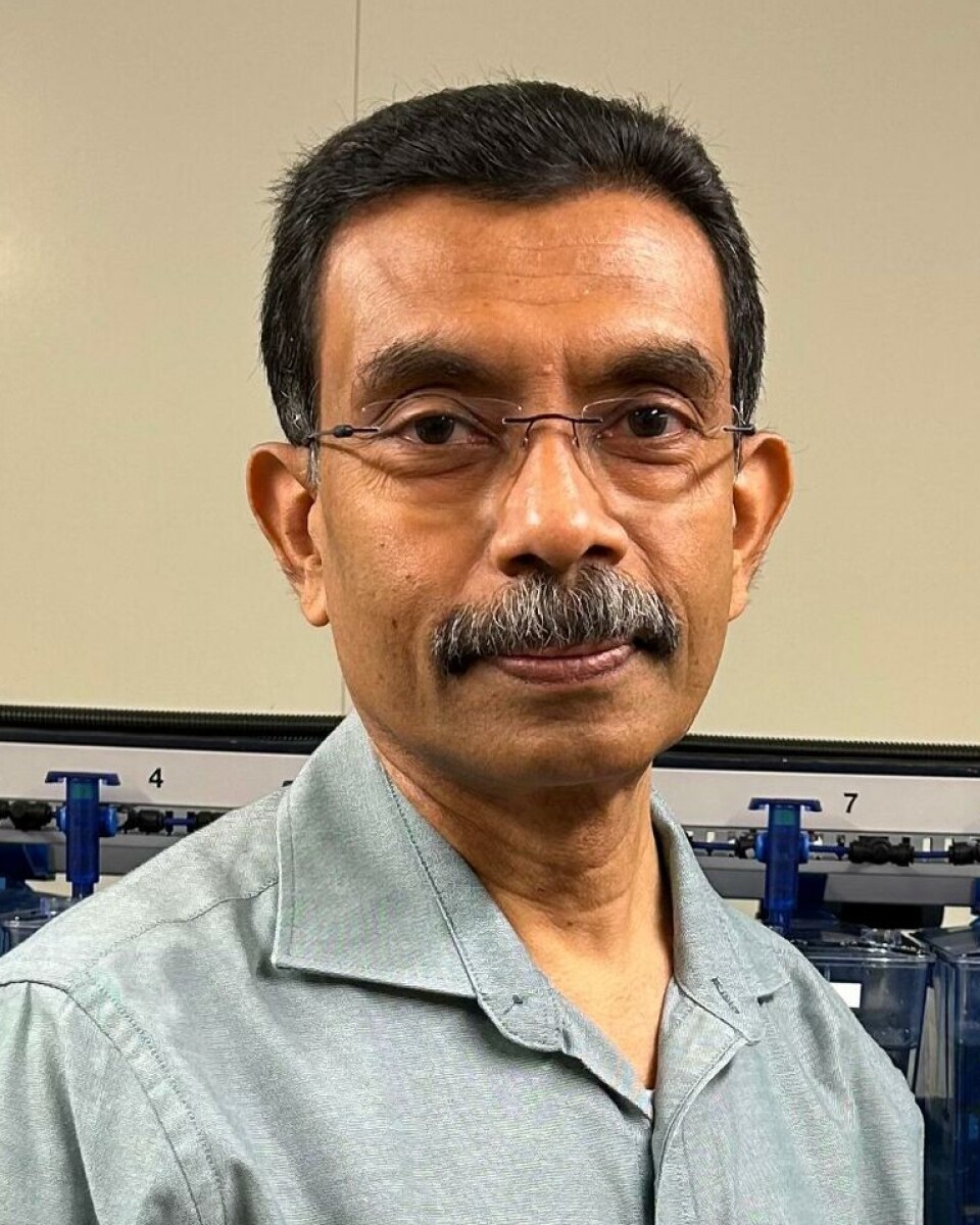 Kiron Viswanath is head of the Algal and Microbial Biotechnology group at Nord University. Here, the researchers use zebrafish to study inflammatory bowel disease, which includes Crohn's disease and ulcerative colitis.
