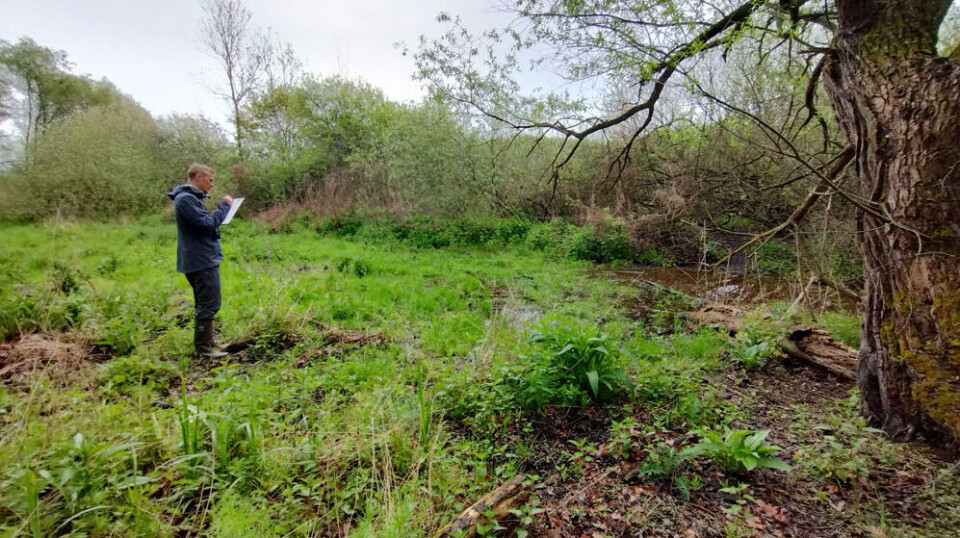 'By early 21 st century standards, the Morava floodplain wetlands are a string of pearls. But restored they could be a cascade of diamonds,' senior research scientist Duncan Halley says. 'By early 21 st century standards, the Morava floodplain wetlands are a string of pearls. But restored they could be a cascade of diamonds,' senior research scientist Duncan Halley says.