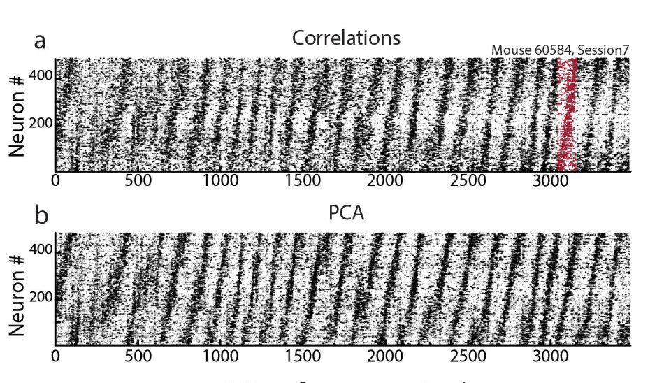 The raster plot shows several hundred mouse entorhinal cortex neurons oscillating at ultra-slow frequencies, spanning time windows ranging from tens of seconds to several minutes. As each cell oscillates, they also organise themselves into sequences in which cell A fires before cell B, cell B fires before cell C, and so on, until they have completed a full loop and return to cell A, where the cycle repeats The raster plot shows several hundred mouse entorhinal cortex neurons oscillating at ultra-slow frequencies, spanning time windows ranging from tens of seconds to several minutes. As each cell oscillates, they also organise themselves into sequences in which cell A fires before cell B, cell B fires before cell C, and so on, until they have completed a full loop and return to cell A, where the cycle repeats