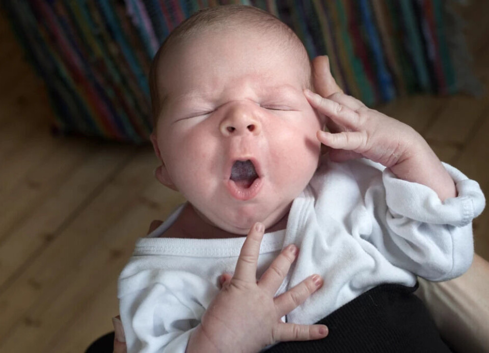 The Norwegian Mother, Father and Child Cohort Study provides answers on how those who wish to become pregnant are doing. The Norwegian mother, father, and child study provides answers on how those who wish to become pregnant are doing.