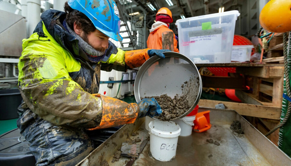 Researcher Èric Jordà-Molina at Nord University examines a seabed sample. He and other researchers have studied seasonal changes in bottom-dwelling animal communities in the open sea of the High North. For the first time, researchers have studied seasonal changes in bottom-dwelling animal communities in the open sea of the High North.