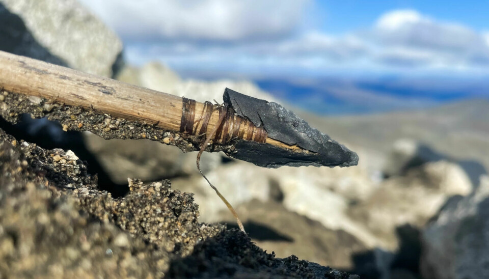 This 3,000-year-old, well-preserved arrowhead provides a unique insight into prehistoric craftsmanship techniques, according to glacial archaeologist Espen Finstad.