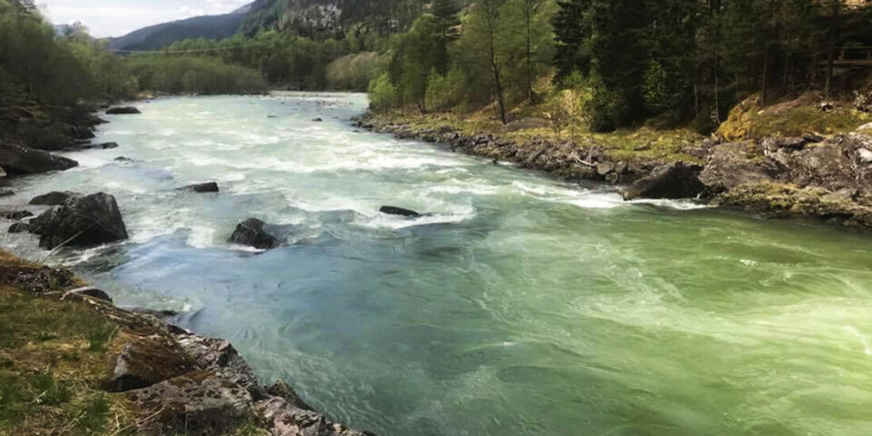 The salmon river Ekso, which clearly has gas-supersaturated water.