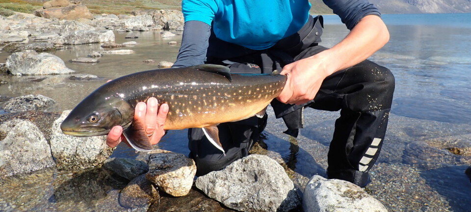 This could pose problems for freshwater fish that go to the sea to find food